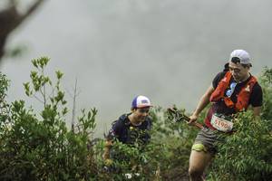 BIB: 5190
                            <button type="button" onclick="openModal(24737308)" class="btn btn-primary btn-sm float-right btn-popup" data-toggle="modal" data-target=".modal-high-quality">
                        <i class="fas fa-shopping-cart"></i> Add to Cart
                    </button>
                                            <button type="button" onclick="isThisMe(24737308, true)" class="btn btn-success btn-sm float-right btn-popup btn-isme hidden" data-toggle="tooltip" data-placement="bottom" title="นี่คือรูปของคุณใช่ไหม คลิกที่นี่เพื่อเอาเข้าอัลบั้ม">
                        <i class="fas fa-plus"></i> Add to album
                    </button>
                    <button type="button" onclick="isThisMe(24737308, false)" class="btn btn-warning btn-sm float-right btn-popup btn-isnotme hidden">
                        <i class="fas fa-ban"></i> Remove from album
                    </button>